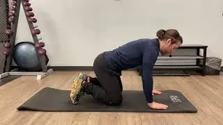 5 Execises  To Fix Your Lower Back Pain