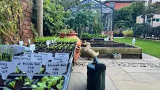 Kitchen garden & greenhouse tour ~ September