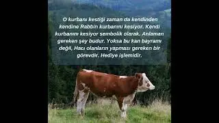 Bugün Hac bayramı