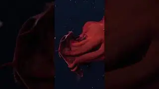 The Vampire Squid from Hell 