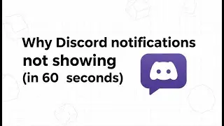 Why Discord notifications not showing (in 60 seconds)