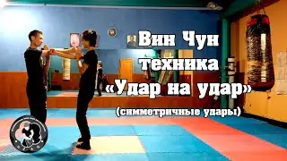 Вин Чун ударная техника (внешние срезы)