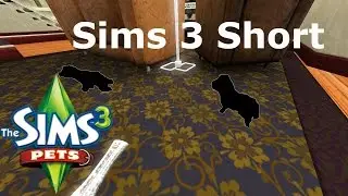 Sims 3 Pets || Short || They Have Arrived!!! ADORABLE!!!