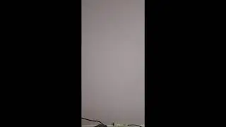 Кошкин Дом Алисы и кота Алекса в прямом эфире!