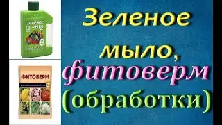 ОБРАБОТКА орхидеи:ФИТОВЕРМ и ЗЕЛЕНОЕ МЫЛО от клеща,мучнистого червеца,трипса,тли и др.