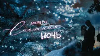 🎶СНЕЖНАЯ НОЧЬ! Andre TAY (Андрей ТАЙ)🎶Новая версия 2023