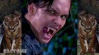 Kompilasi Manusia Harimau Part 4 sampai Part 7