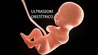 ULTRASSOM OBSTÉTRICO | MORFOLÓGICO E SEGUNDO TRIMESTRE