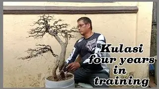 KULASI FOUR YEARS IN TRAINING #181
