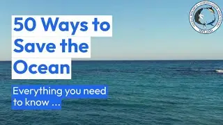 50 Ways to Help the Ocean !