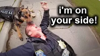 When Police Dogs Turn Rogue