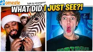TRAUMATIZED BY THEIR FAVORITE ANIMAL