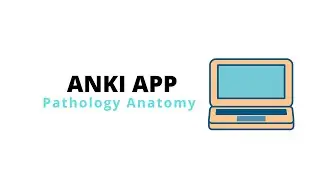 [ANKI] 6 minutes with me