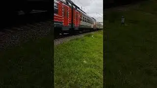 Электропоезд ЭД4М-0465 "Рэкс" проезжает платформу Косино. #railway #shorts