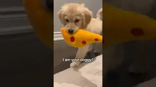 I am your doggy, you listen to me! 😏 