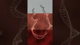 DNA 3D-Breakdown | #blender #cgi #geometrynodes #3d