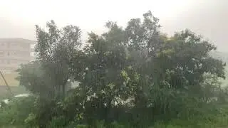 Nature bliss….@Raining time