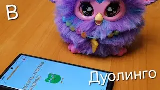 Как насчёт Duolingo с польским и английским фёрби?