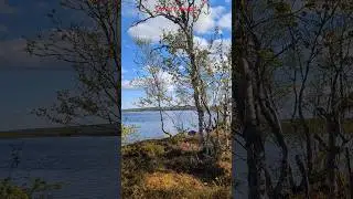 Где-то в Тундре.