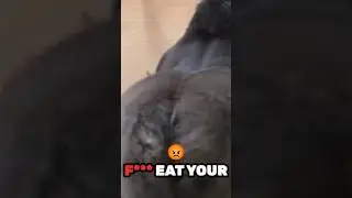 I just want to EAT your GYATT🍑