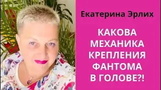 КАКОВА МЕХАНИКА КРЕПЛЕНИЯ ФАНТОМА В ГОЛОВЕ. Екатерина Эрлих