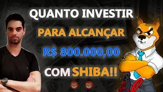 🚀QUANTO INVESTIR PARA ALCANÇAR R$ 800.000 COM SHIBA INU??💰