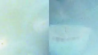 коллаж78562078ишел к тому же.все