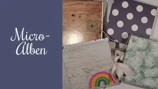 Mini/Micro Alben ideal für Fotogeschenke zu Weihnachten