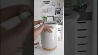 Amazon Must Have