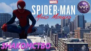 Разгром в Гарлеме Spider-Man Miles Morales