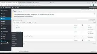 Video 29 - static page