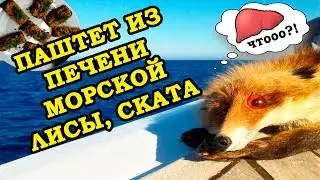 ПАШТЕТ ИЗ ПЕЧЕНИ МОРСКОЙ ЛИСЫ И СКАТА!!! РЕЦЕПТ.
