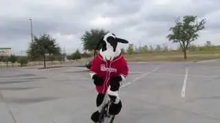 Chick-fil-a Cow Riding a Unicycle