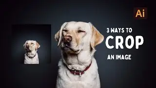 How to Crop Image in Adobe Illustrator (3 Ways)