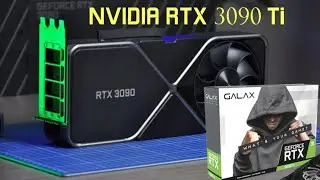 Review GPU GeForce RTX 3090 Ti to mine ethereum profit per week $50 dollar