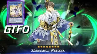 IF HAVE NO CP, KICKED FROM YOUR RENT, POOR AND NOW HOMELESS, Here's Deck For You! Budget Shinobird