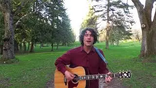 Crazy Love - Van Morrison (Acoustic cover by Michael Costantini)