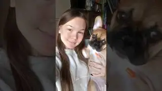 🤗💖 #pets #love #petlovers #recommended #life