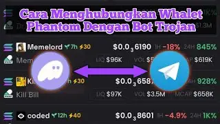 Cara Menghubungkan Whalet Phantom Dengan Bot Trojan || Part 2