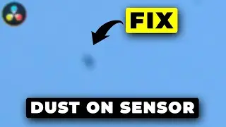 FIX Dust or Dead Pixels in Davinci Resolve 18