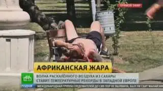 От жары умерло 700 человек