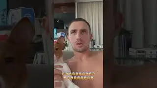МИШУ ЛИТВИНА ПОКАЗАЛИ ПО ПЕРВОМУ КАНАЛУ В НОВОСТЯХ/ СНОВА ХОТЯТ ЗАБРАТЬ В МЕНТОВКУ