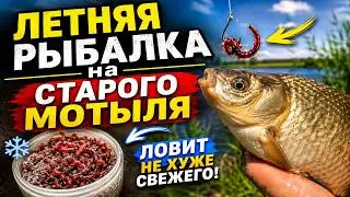 Nozzle frozen bloodworm
