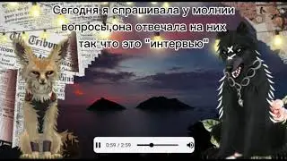 🍪💖•Интервью у Молнии/10 вопросов Молнии•💖🍪