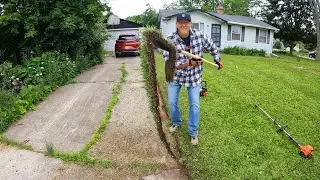 HARDEST Yard Makeover EVER!  Roots, MEGA-VINES, a Decade of NEGLECT!  #transformation #lawn