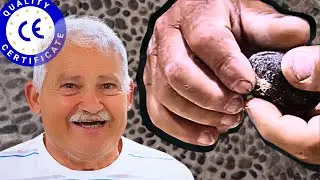 DO YOU USE CHEMICALS? YOU CAN'T, THIS VIDEO IS NOT FOR YOU!