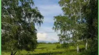 Летняя мелодия