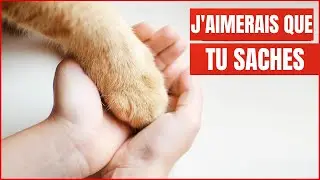 18 choses que votre Chat veut que vous sachiez