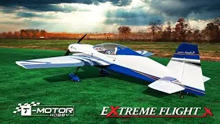 BACK TO BIG TOY - EXTREME FLIGHT EXTRA NG 91
