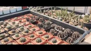 ชมเพลิน ชิลชิล - บ้านแหลม